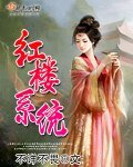 (BG/紅樓同人)紅樓系統