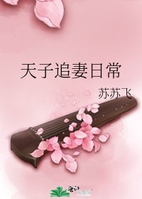天子追妻日常